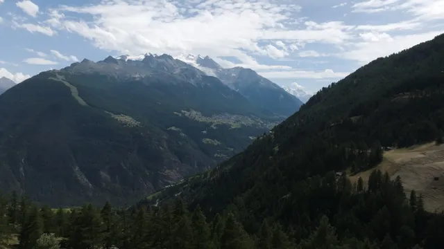 Luftaufnahme eines bewaldeten Walliser Bergtals mit schneebedeckten Gipfeln im Sommer
